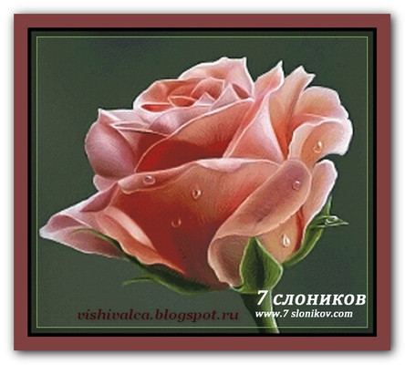 Авторская схема 002 Розовая роза + РМ Елена Горбанёва "7 слоников"
