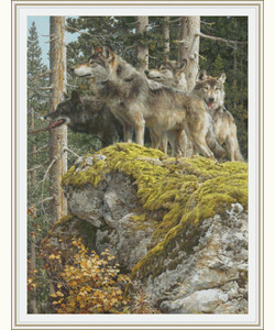 Лесные волки в дозоре