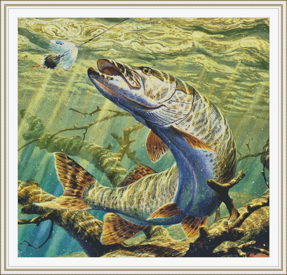 Щука. Щука картина. Живопись рыбы щука. Рисунок на тему рыбалка. Автор щука