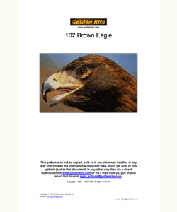 102 Brown Eagle