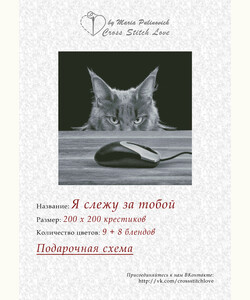 Я слежу за тобой