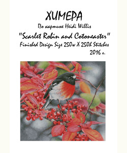 Scarlet Robin and Cotoneaster